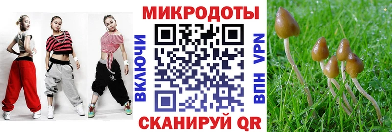 Галлюциногенные грибы мухоморы  купить   Новосокольники 
